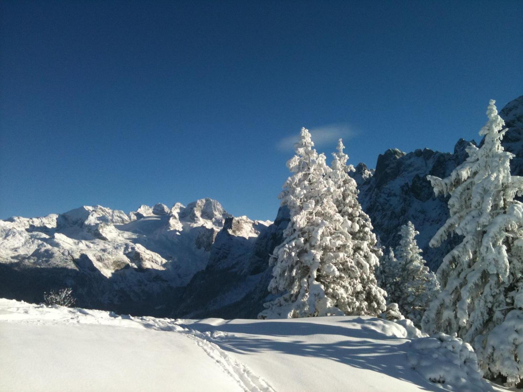 Sunseitn Apartments Gosau Extérieur photo