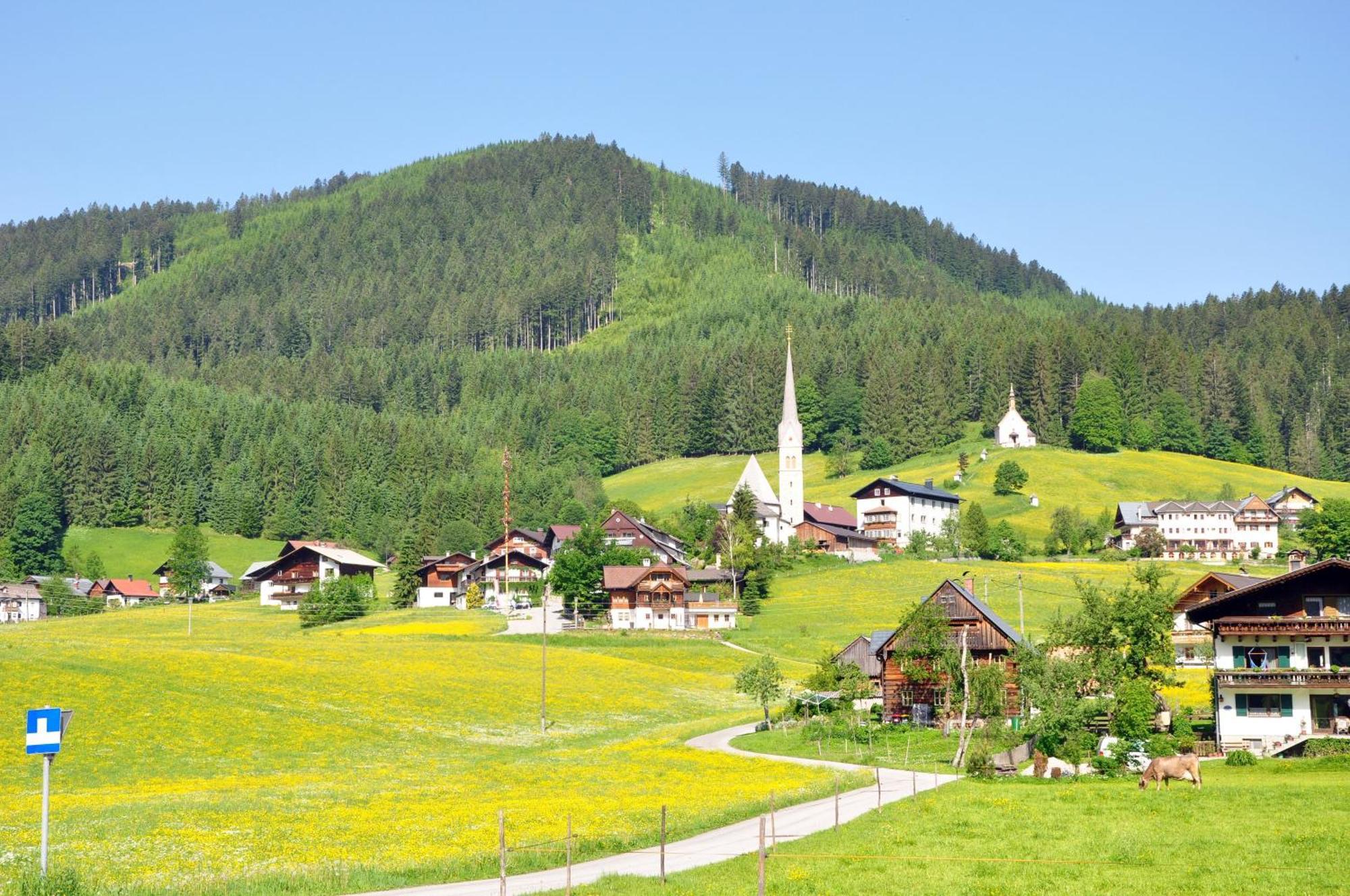 Sunseitn Apartments Gosau Extérieur photo