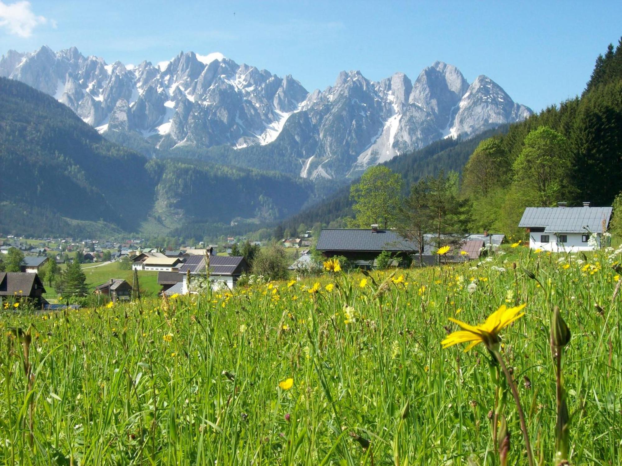 Sunseitn Apartments Gosau Extérieur photo